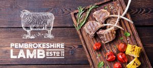 Pembrokeshire-Lamb-Sustainable-Farming